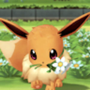 Meet your Posher, Isabella